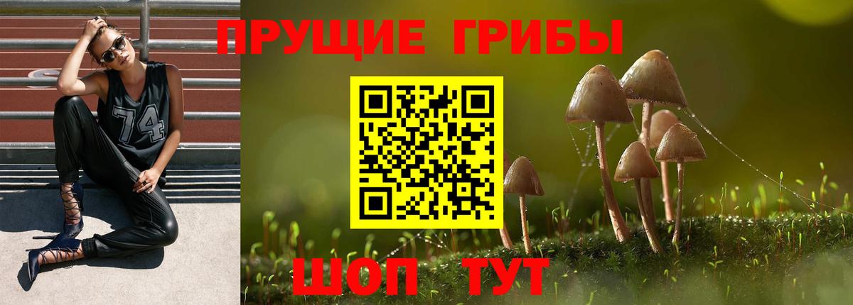 Тобольск  купить наркотики цена  Вход с VPN  Галлюциногенные грибы Psilocybine cubensis  Псилоцибиновые грибы прущие грибы 